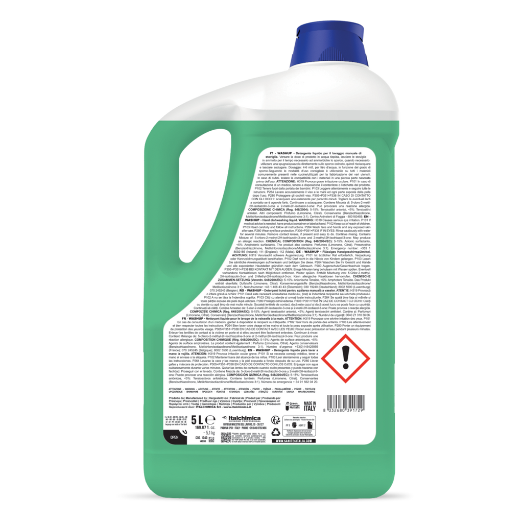Wash Up Limone Verde – Detersivo Piatti Manuale Professionale