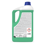 Wash Up Limone Verde – Detersivo Piatti Manuale Professionale